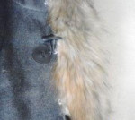 Predam krasne sede ponco – fotka 4